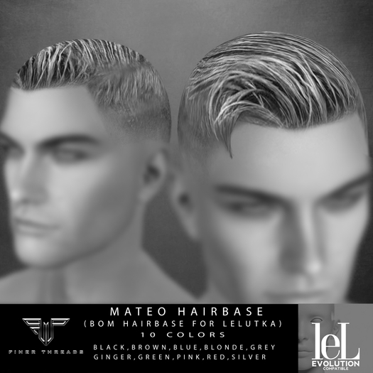 FT - Mateo Demo