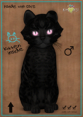 KittyCatS Box - Bengal - Black - FLOOFY HEAD - Fancie Rose Diamond