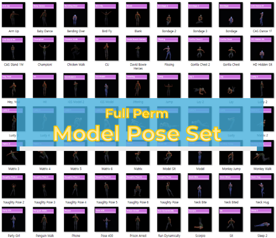 Full Perm Poses - Model Poses
