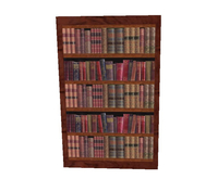 Bookcase GIFT