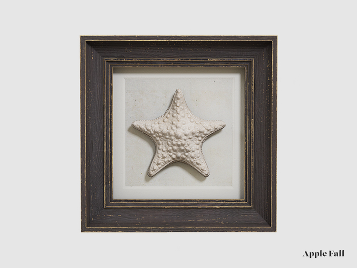 Apple Fall Wall Mounted Sealife - Sea Star (Box)