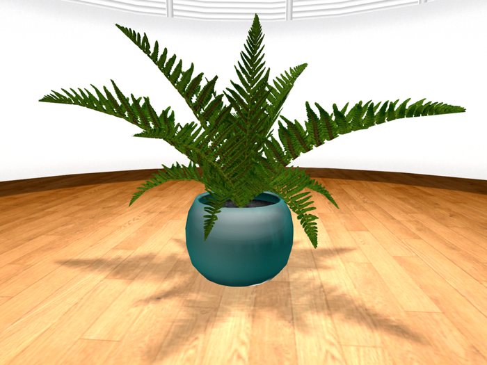 FERN PLANT IN COLOR CHANGE POT (Copy/Mod/No Transfer) - BOX
