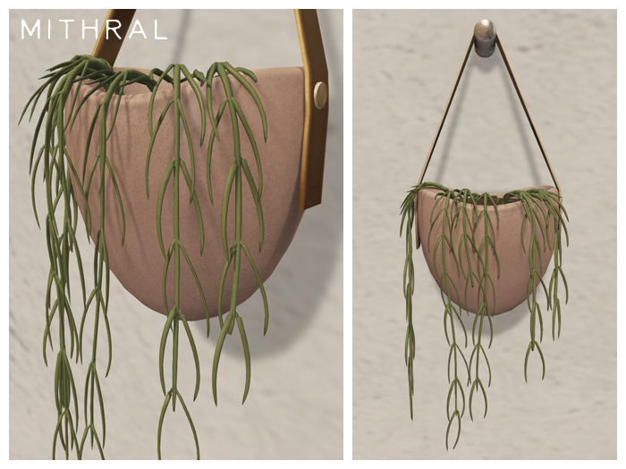 Mithral * Hoya Linearis (Blush)