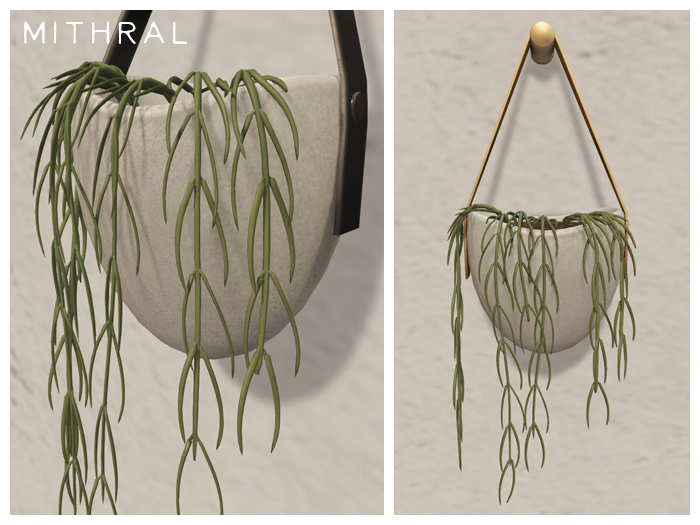 Mithral * Hoya Linearis (White)