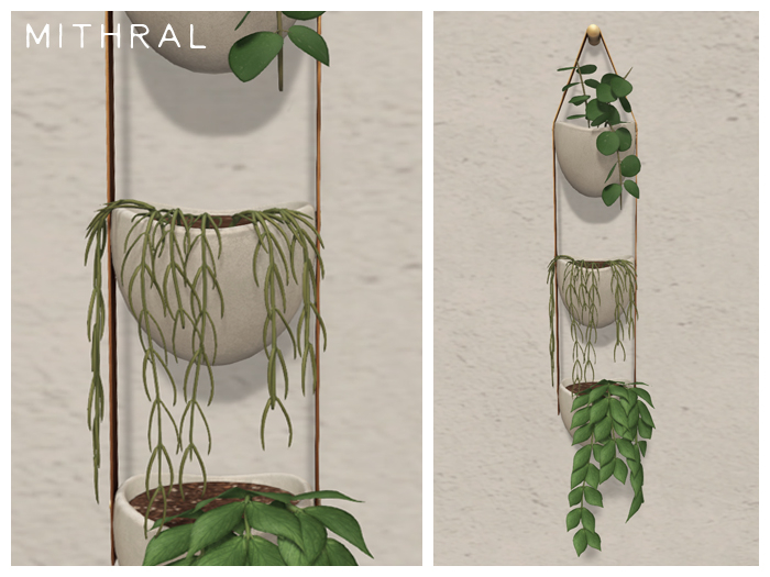 Mithral * Hanging Hoya Set (White)