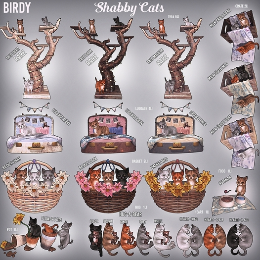 Birdy. Shabby Cats - Hug-A-Bear - Brown [box]