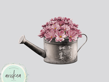 Ariskea [Viti] Watering Can Flower [3]