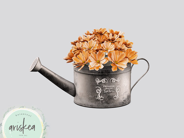 Ariskea [Viti] Watering Can Flower [2]