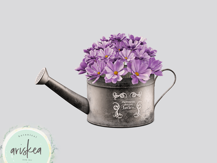 Ariskea [Viti] Watering Can Flower [4]