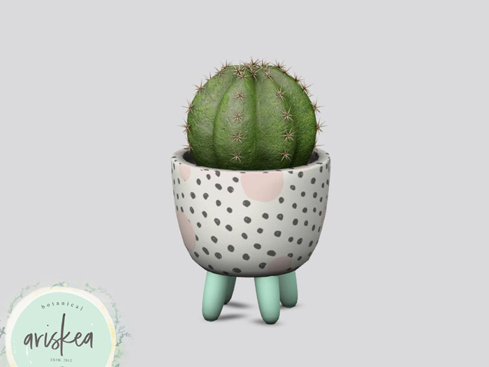 Ariskea[Faux] Cute Small Cactus