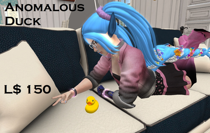 Anomalous Duck