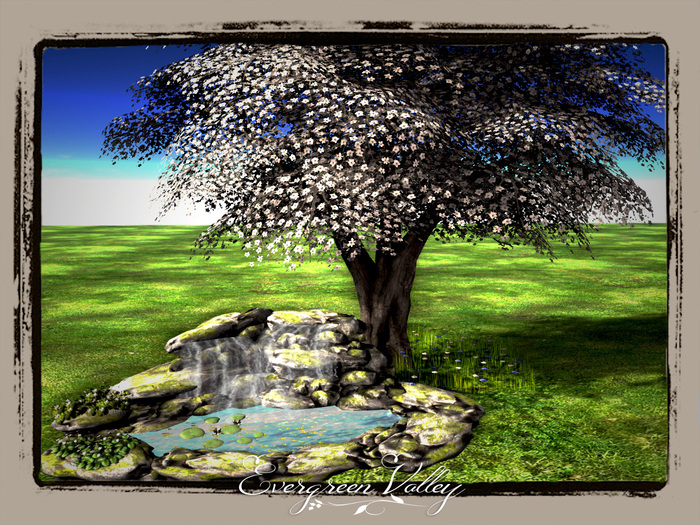 Garden Zen Pond 1