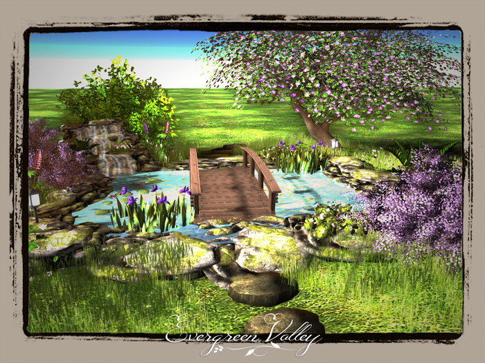 Pond| Zen3