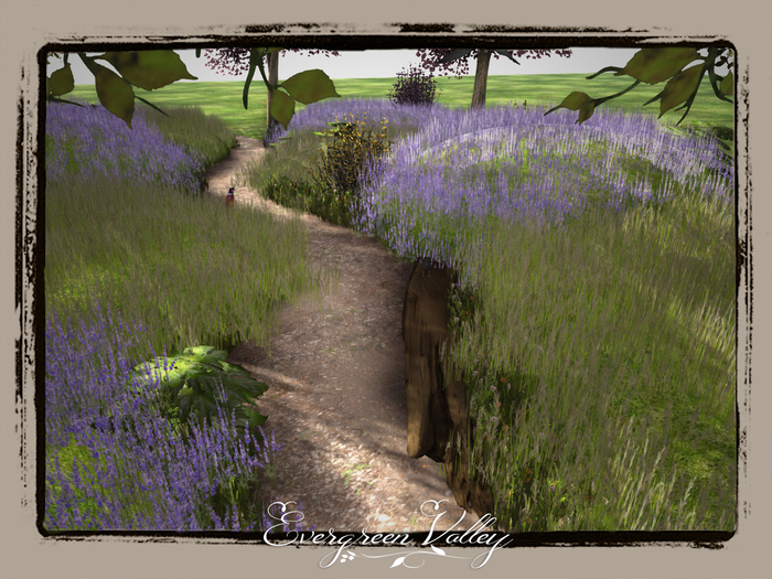 EV -Wild Nature Pathway