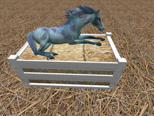 oYo Bundle - Female Turquoise Hope