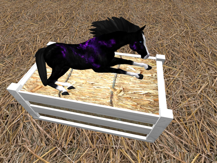 oYo Bundle - Female Fire-Purple Clyde