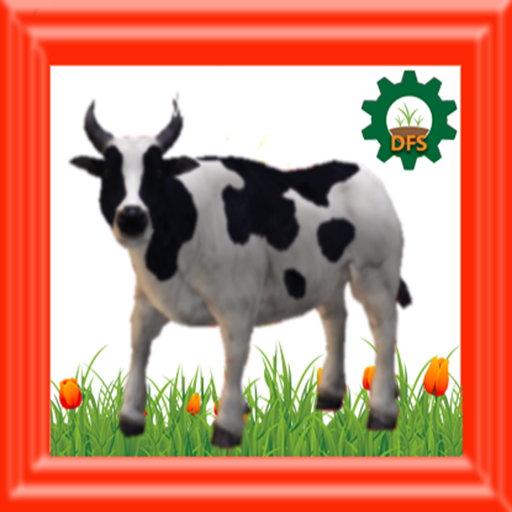 DFS Bull BW