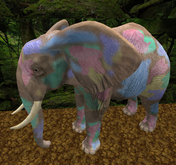 oYo Bundle - Female Brown Spotted
