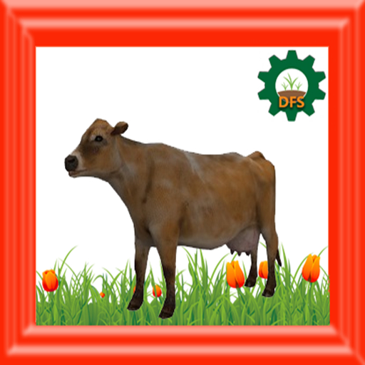 DFS Cow