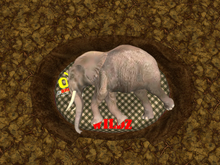 oYo Bundle - Male Brown Elephant