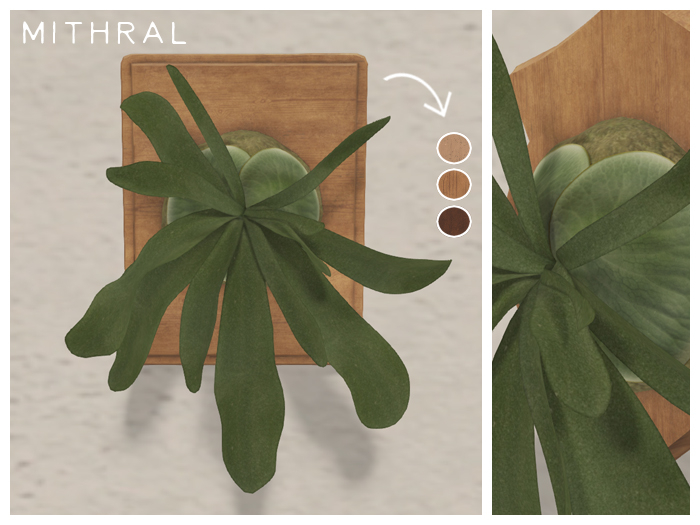 Mithral * Mounted Staghorn Fern (Rectangle)