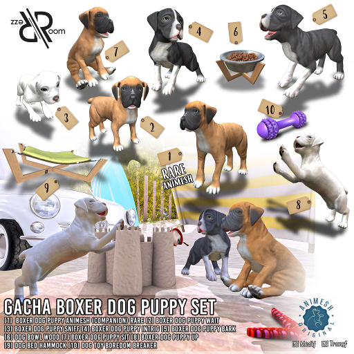 [Rezz Room] Pack Boxer Dog Puppy Sniff