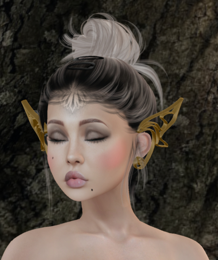 WISPY/ elven earrings / MOD/COPY goud donker m/c