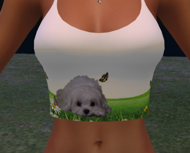 Top Dog Animated ( the dog blinks )