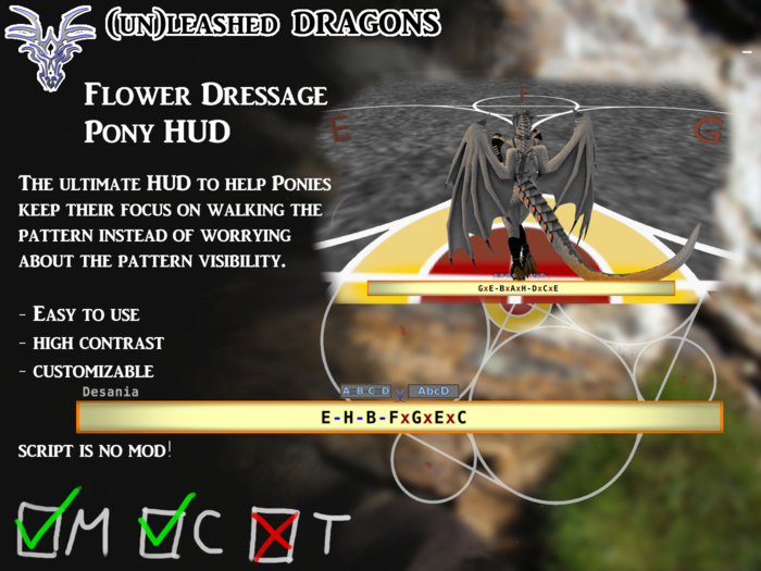 Flower Dressage Pony HUD