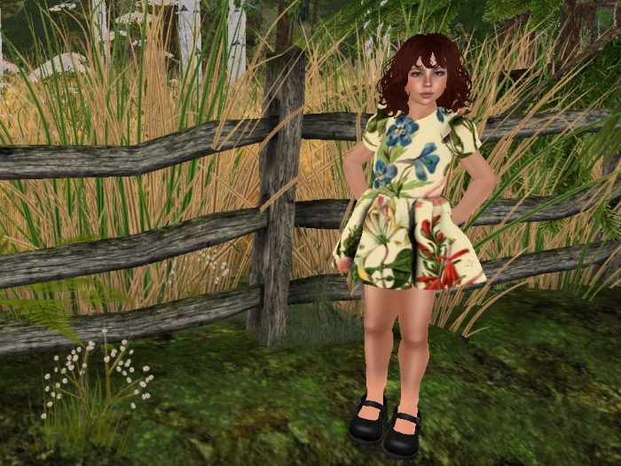 Redfeather Rags Botanical Print Dress