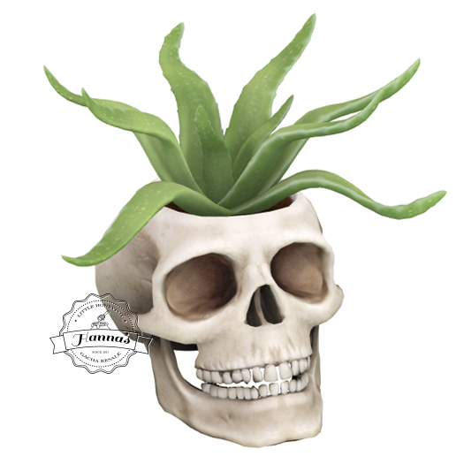 14.erratic / coc - skull planter