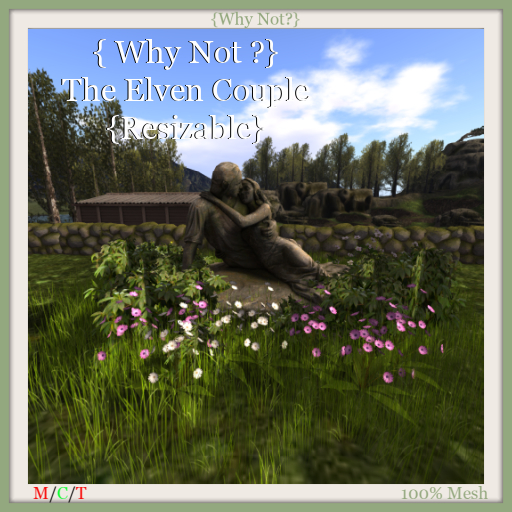 { Why Not ?}The Elven Couple{Resizable}-Boxed