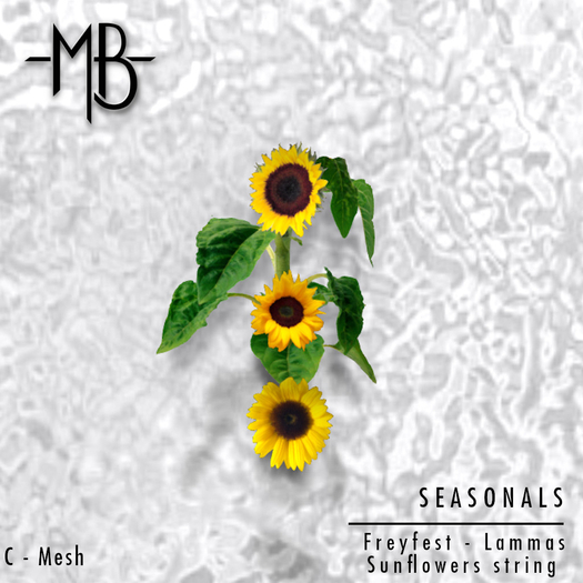 -MB- BOX SEASONALS - FREYFEST - Jari Bergson Sunflowers String