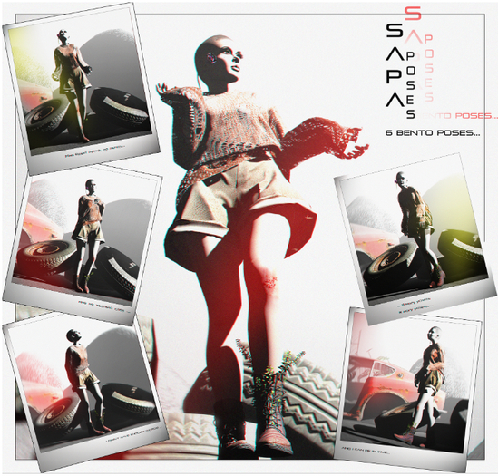 SAPA poses 88
