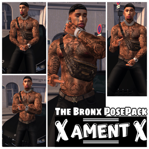 The Bronx PosePack