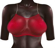 Kaithleen's Mookie Fishnet Top - Red