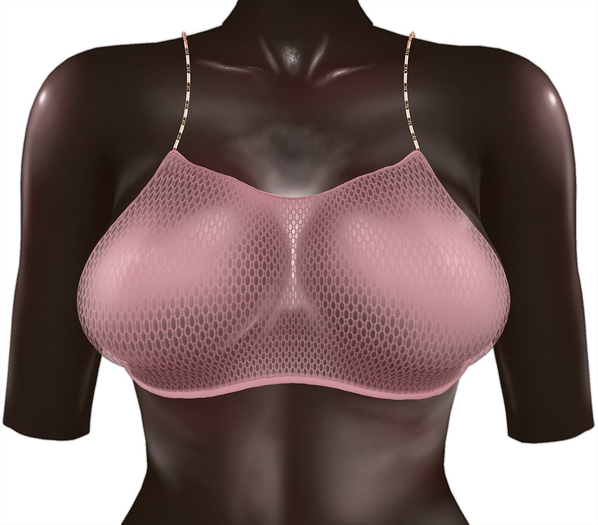 Kaithleen's Mookie Fishnet Top - Poudre