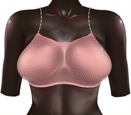 Kaithleen's Mookie Fishnet Top - Peach