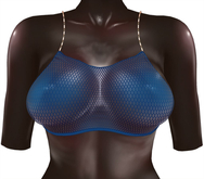 Kaithleen's Mookie Fishnet Top - Navy