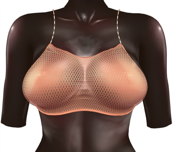 Kaithleen's Mookie Fishnet Top - Gold