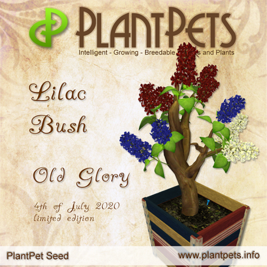 PlantPet Seed [Lilac Bush *Old Glory*]