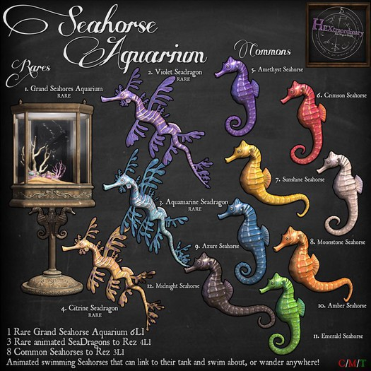 3. *HEXtraordinary* Aquamarine Seadragon - RARE