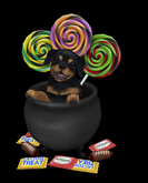 JIAN Spoiled Rotties 9. Treat Cauldron BOX