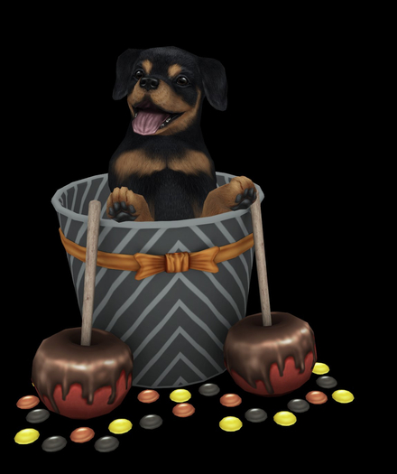 JIAN Spoiled Rotties 8. Apple Bucket BOX