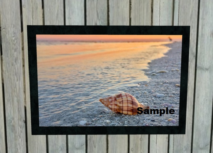 Beach Island Picture