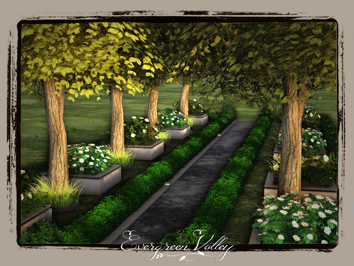 EV - Modern Pathway Monica