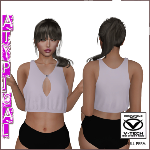 Nikki_Top_v-tech