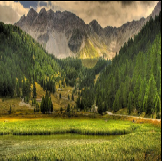 Texture background