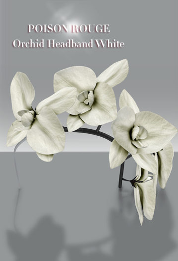 POISON ROUGE Orchid Headband White