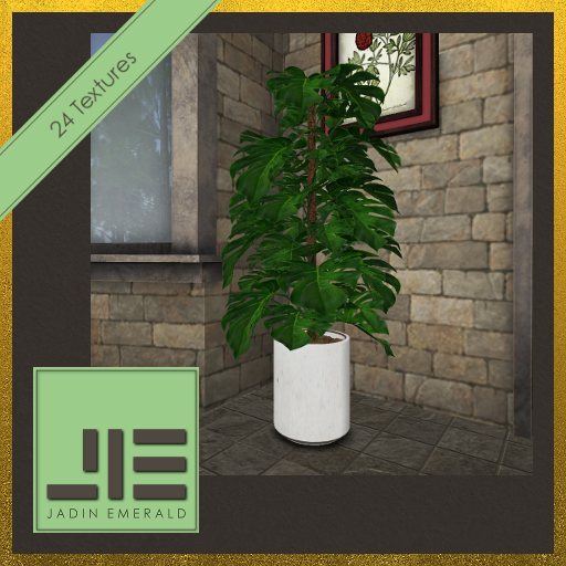 JE. Ecologique Deco Vase (Monstera Set) - C/M (Wear to Unpack)